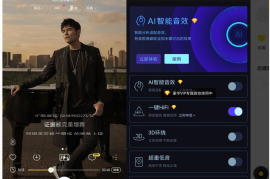 KW 可用 安卓绿化版v10.6.2.2
