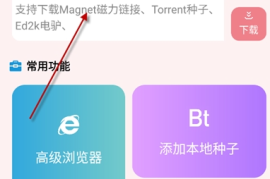 柚子下载 v1.0.8 安卓绿化版