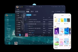 KW音乐HD v9.0.1.0 安卓绿化修复版