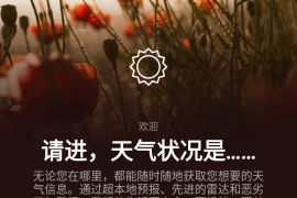 AccuWeather v20.7-1 安卓绿化版